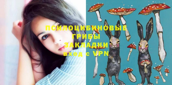 стаф Абинск